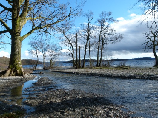 Loch Lomond from Sallochy Campsite